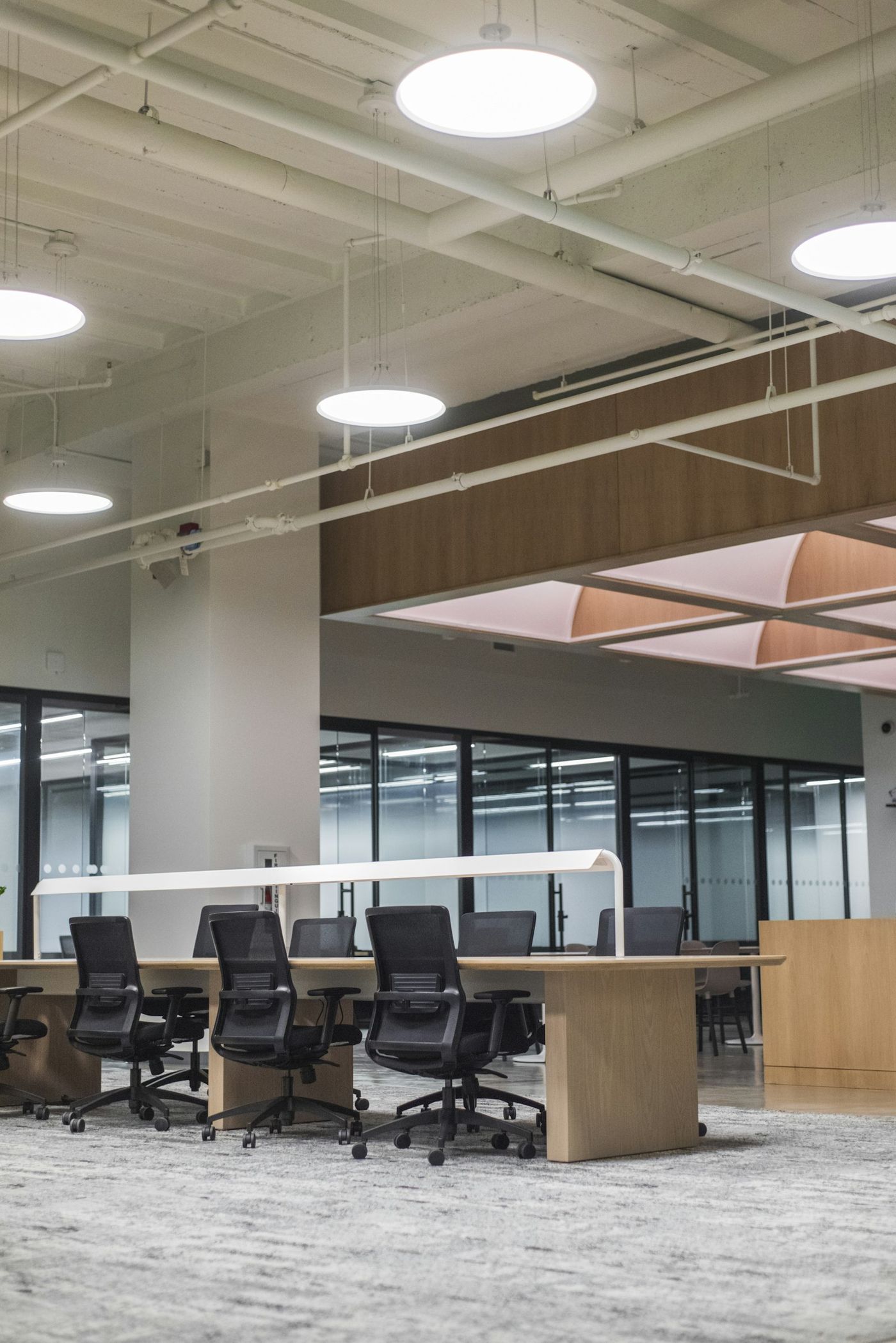 Modern open-plan commercial office space renovation with exposed ceiling and pendant lighting